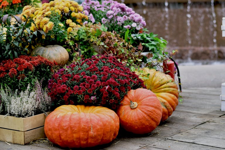 A vibrant autumn scene in Moscow with pumpkins and diverse flowers on a wooden platform.