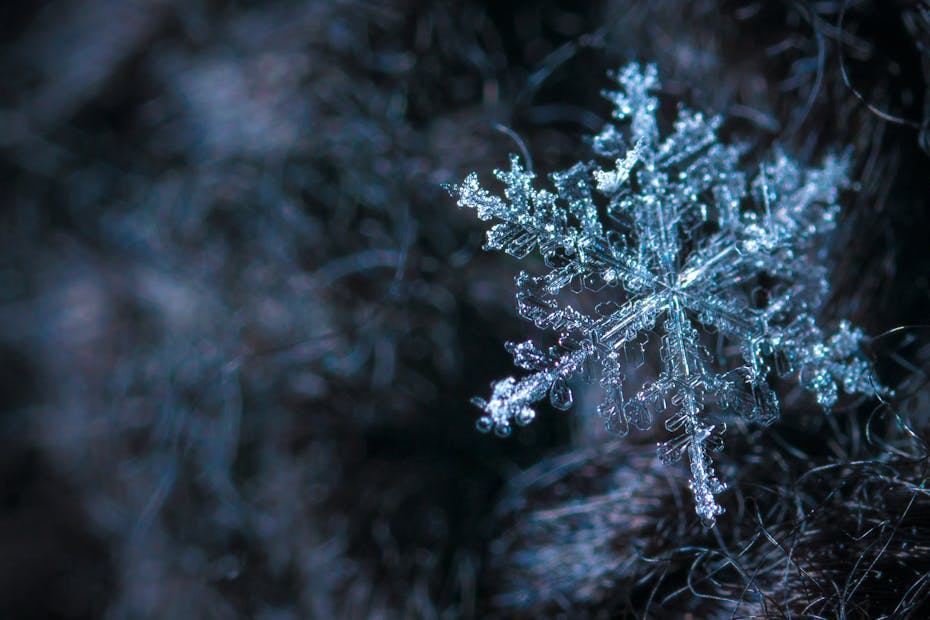 Intricate close-up of a snowflake showcasing its frosty crystalline structure in a winter setting.